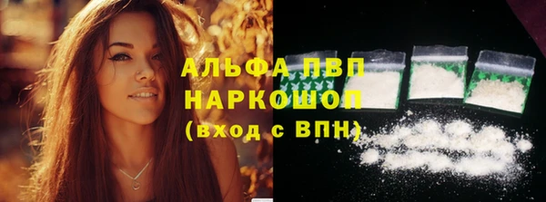 мяу мяу мука Баксан