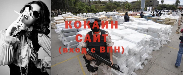 шишки Балабаново